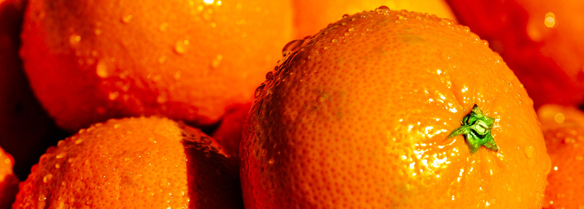 批量发送短信的平台