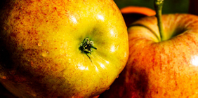 在线轰炸机网页版